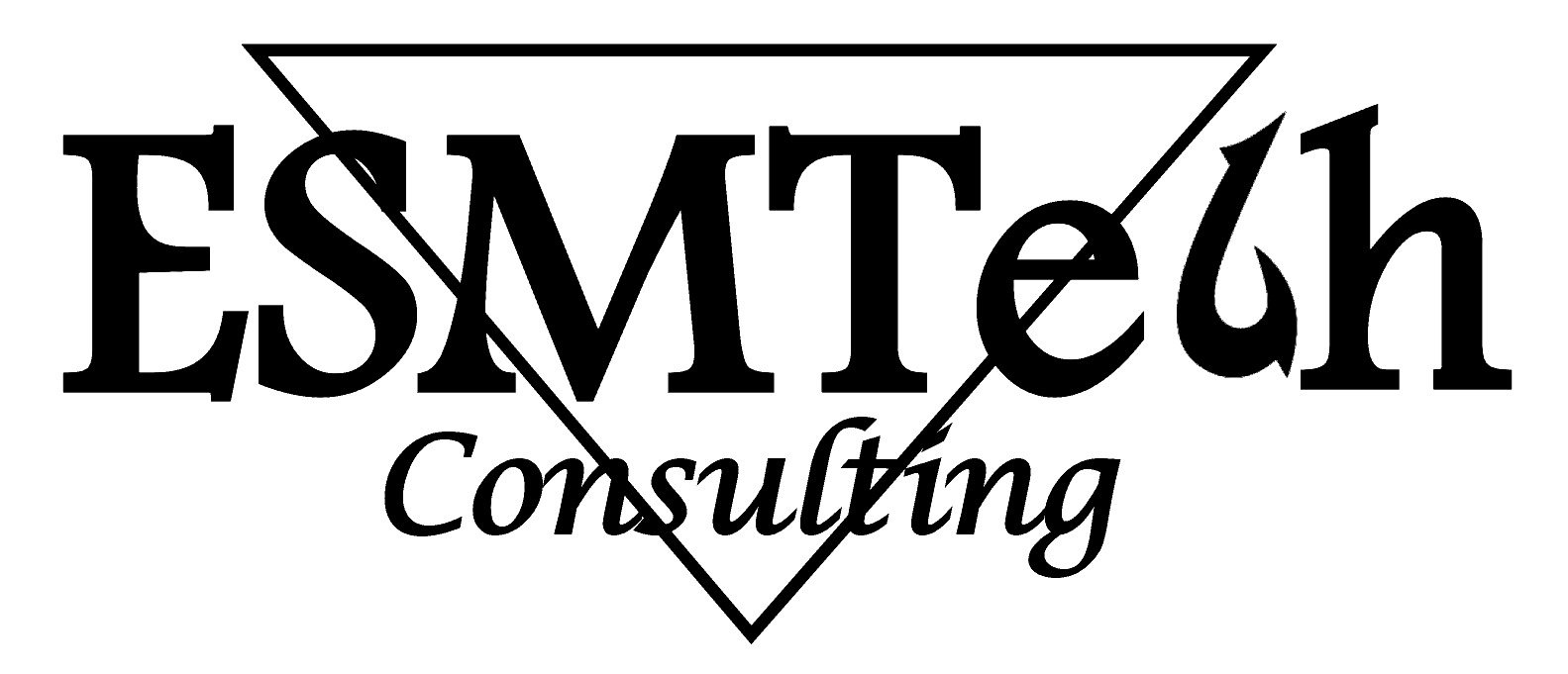 ESMTech Consulting